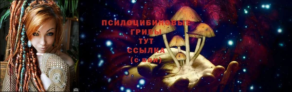 mdpv Сосновка