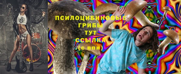 mdpv Сосновка
